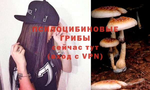Альфа ПВП Алзамай