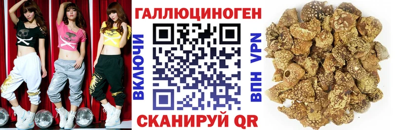 Псилоцибиновые грибы MAGIC MUSHROOMS  Санкт-Петербург 